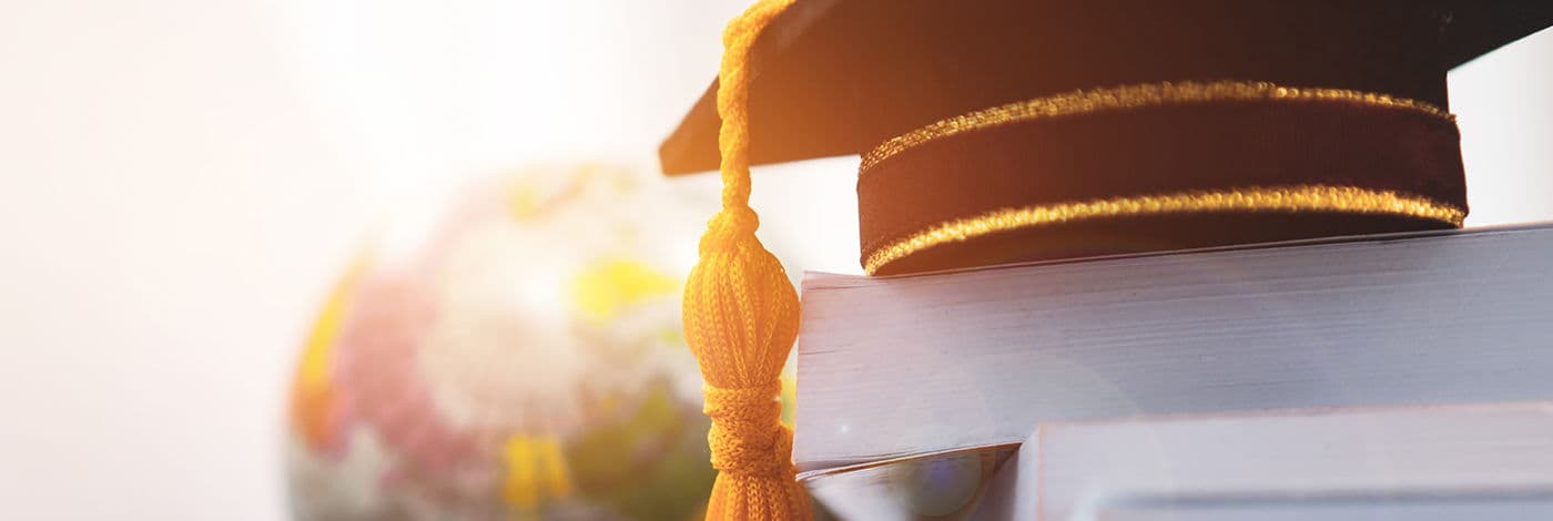 Mikronährstoffe Studieren