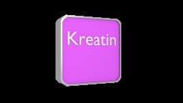 Kreatin