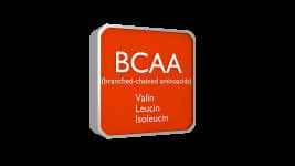 BCAA's