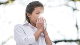 Allergien