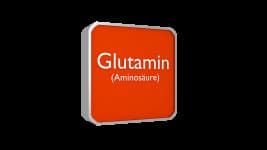 Glutamin