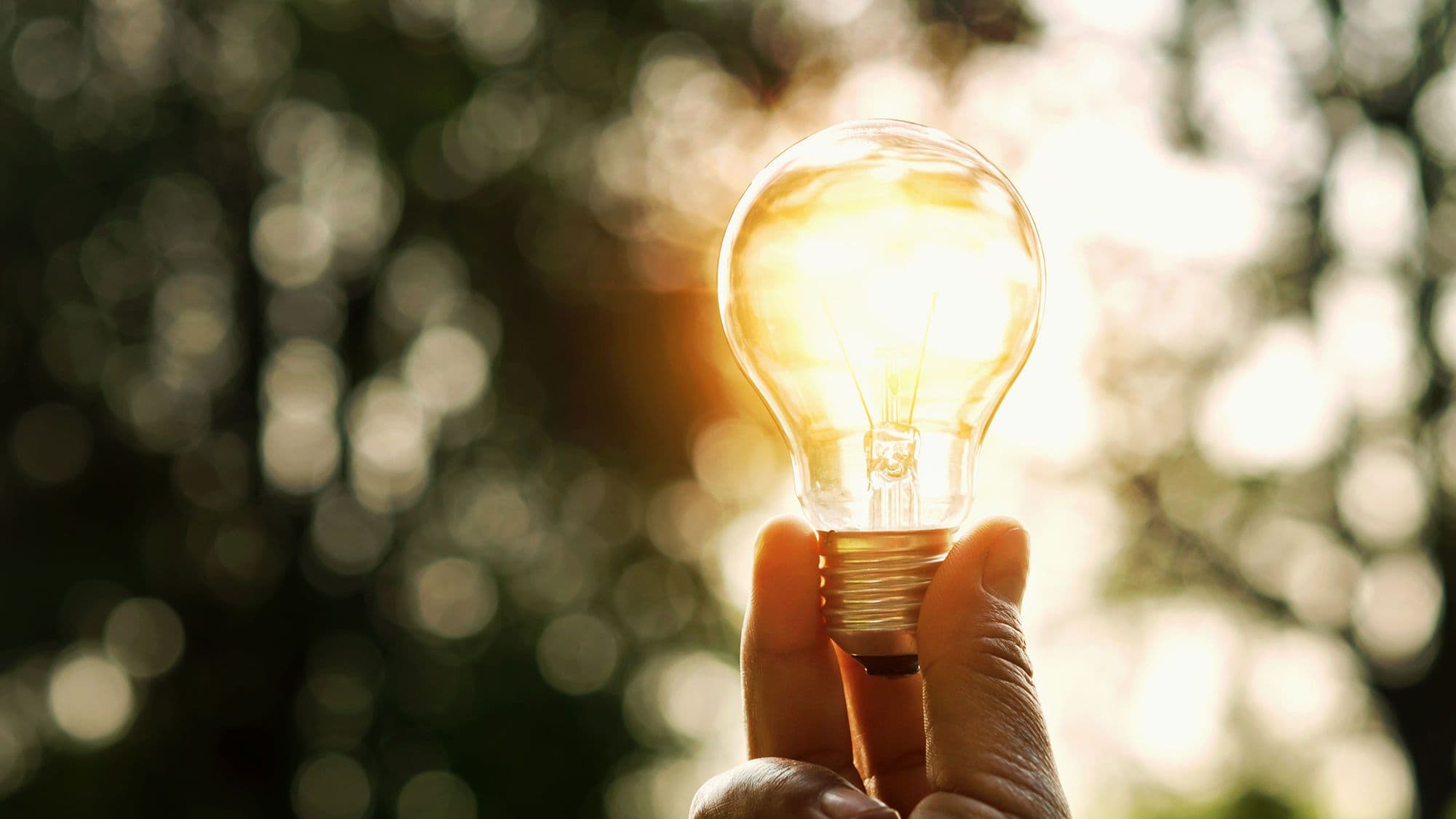 NEMs für mehr Energie
