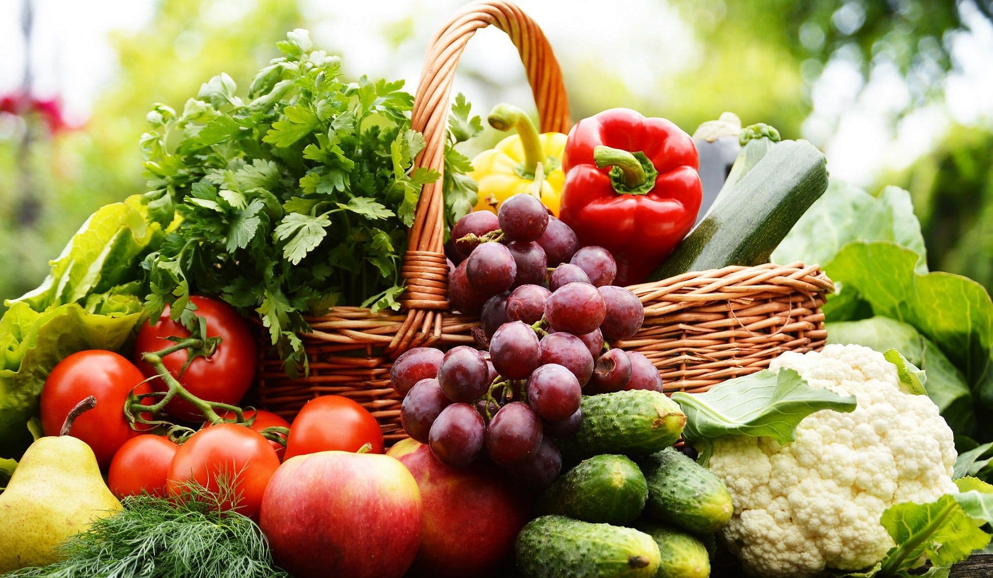 Gesunde Ernährung