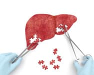 Gesundheit für die Leber
