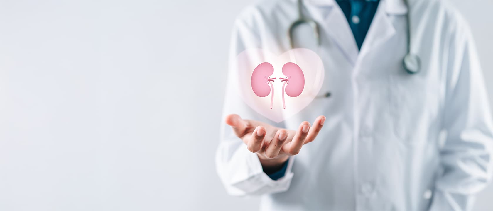 Das Protein-Paradoxon der Nephrologie