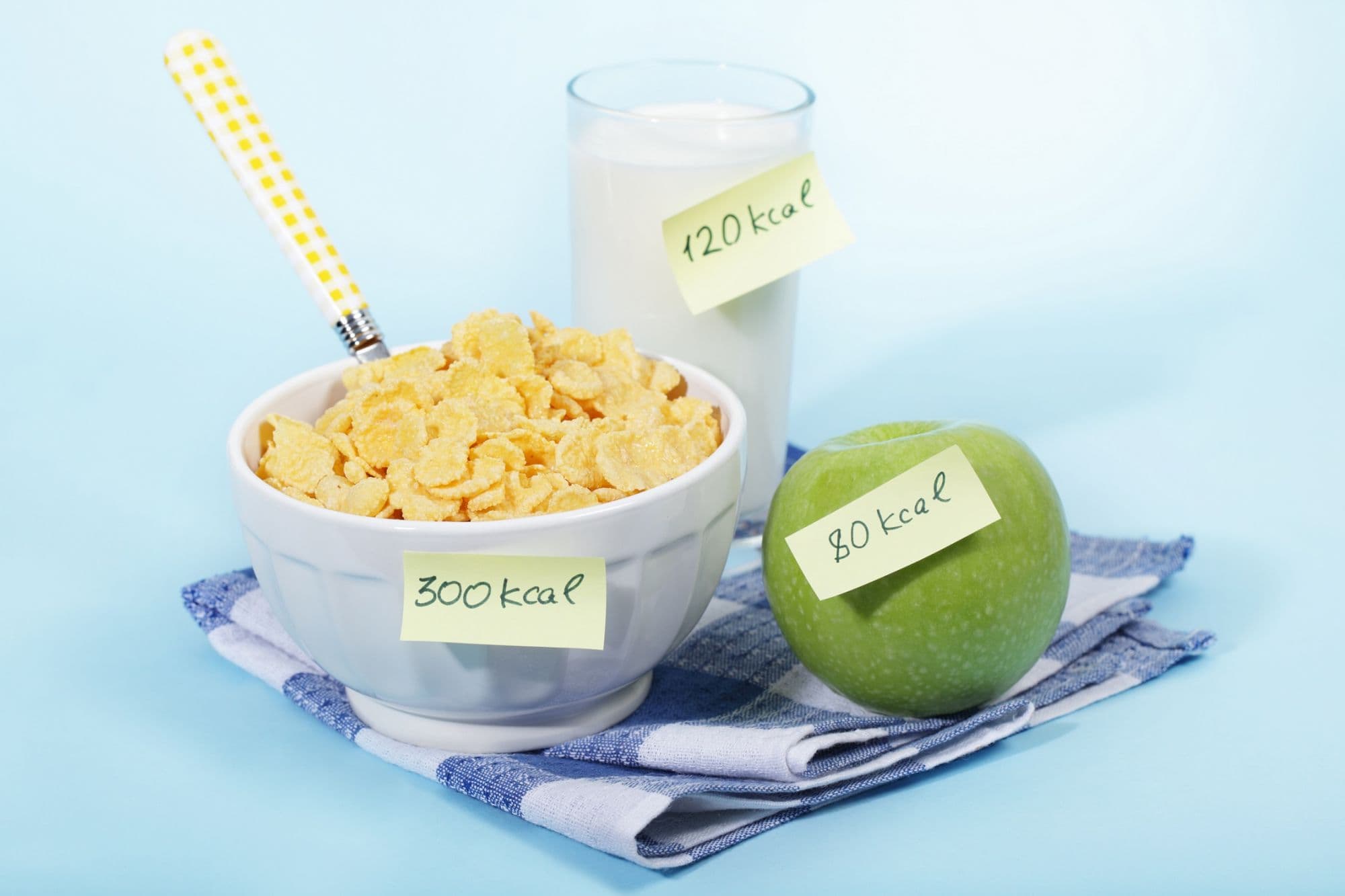 Ernährungsplan